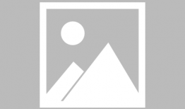 校园生活,校园生活点滴回顾